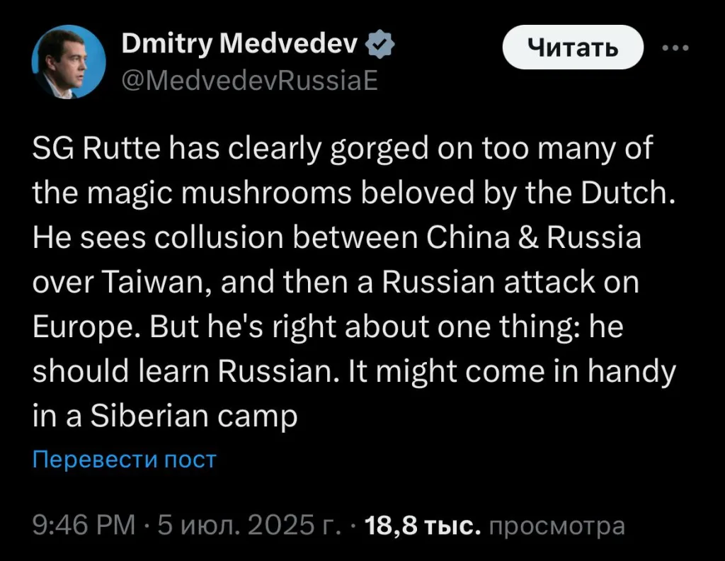 Медведев : Если генсек НАТО видит угрозу, пусть учит русский язык