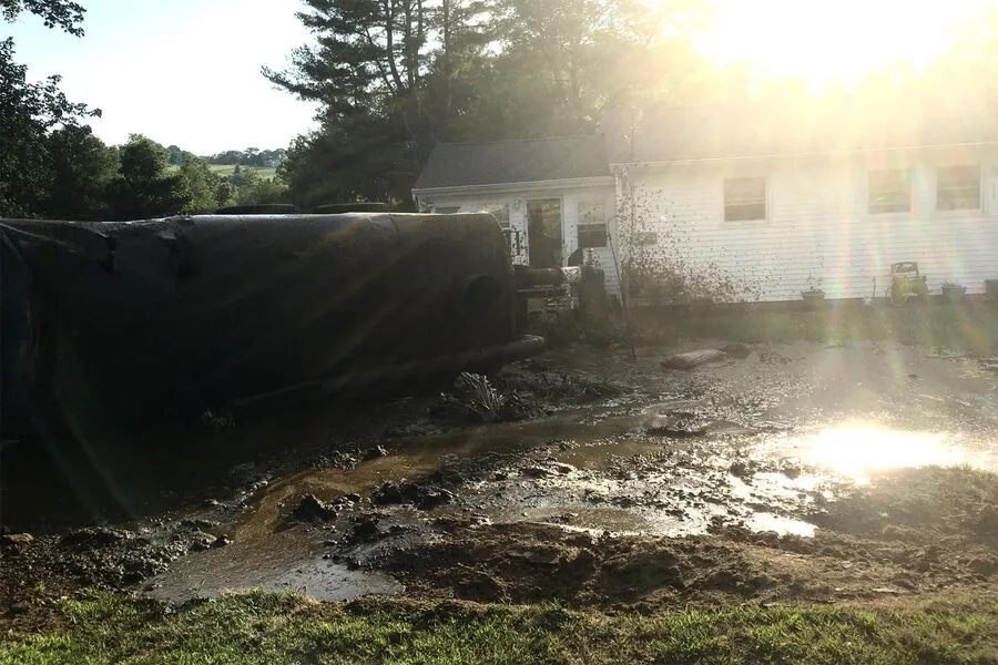 Воду в России смогут производить из навоза