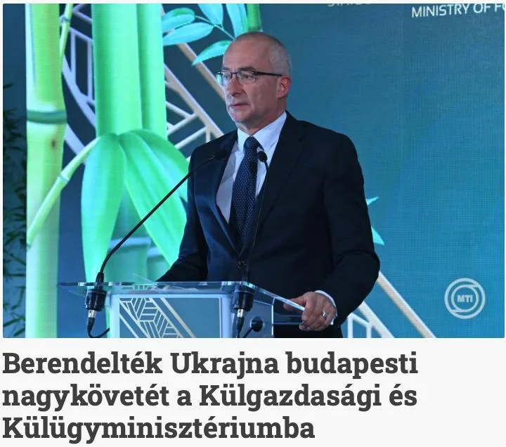 Закарпатского венгра забили до смерти при мобилизации – МИД Венгрии вызвал украинского посла