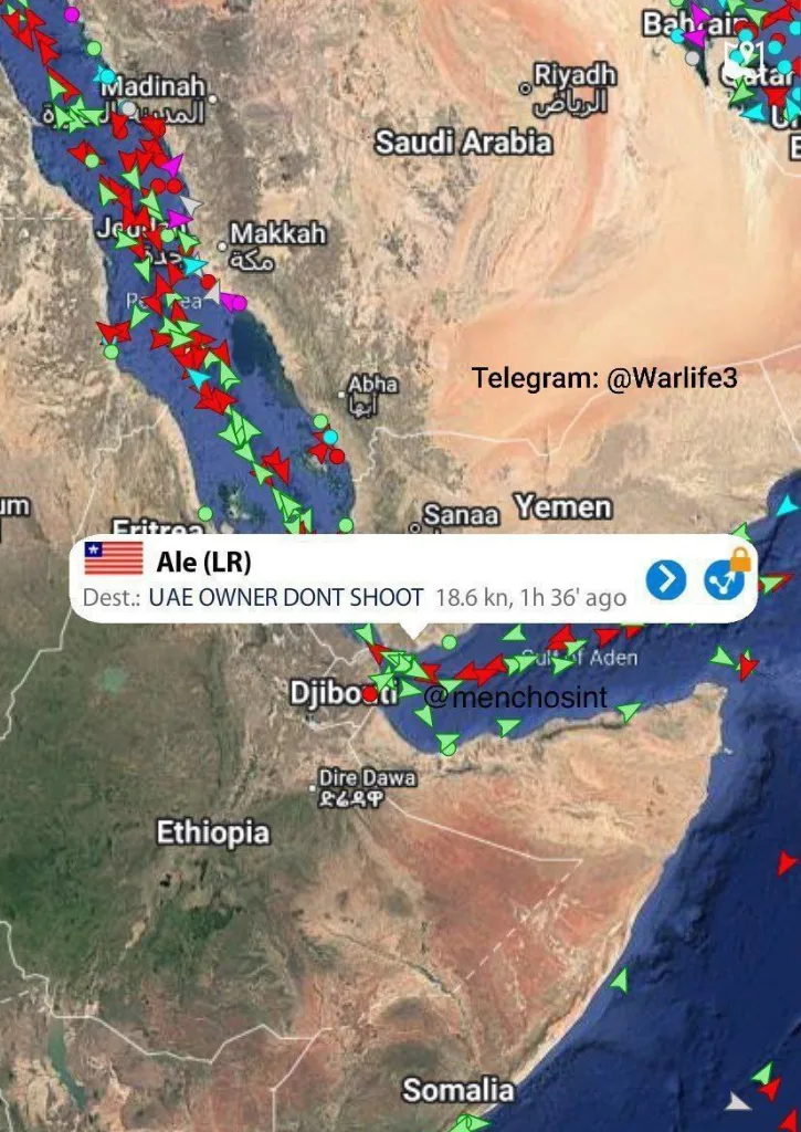 "Владелец из Эмиратов, не стреляйте". Сообщение от судна в Красном море