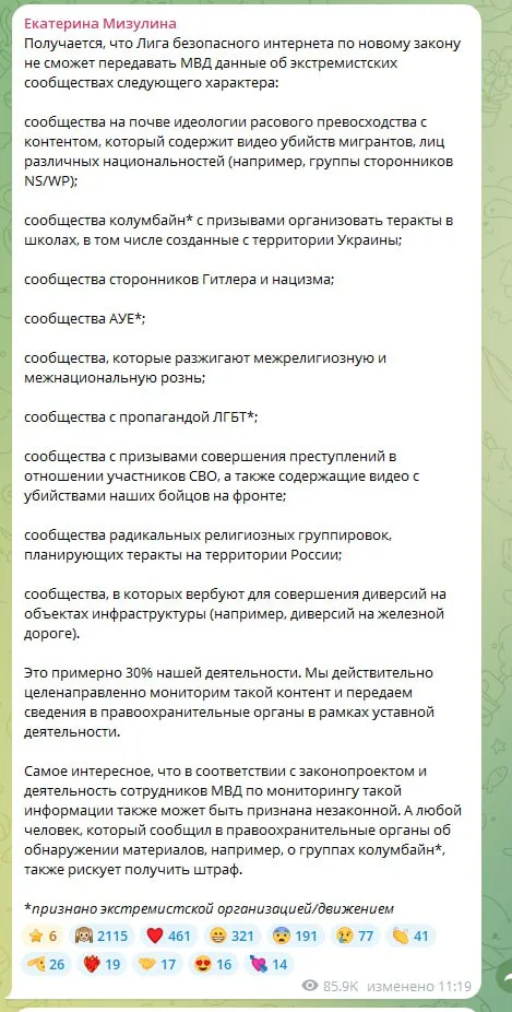 Глава Лиги Безопасного Интернета раскритиковала новый резонансный закон об экстремистских материалах и VPN