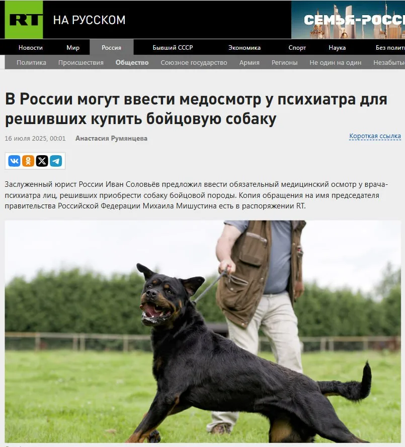 В России хотят ввести медосмотр у психиатра для владельцев агрессивных пород собак