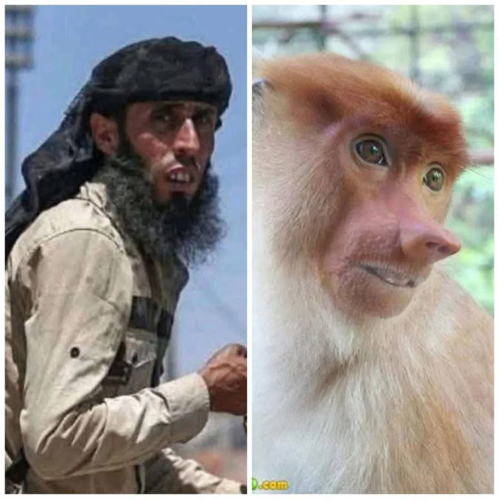 Юрий Подоляка: Новости из "демократической" Сирии: в ходе налета на Сувейду 79 сириек попали в "демократическое рабство"