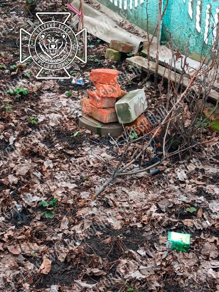 Разминирование Суджанского приграничья продолжается: Северяне обезвреживают посевные поля Курской области