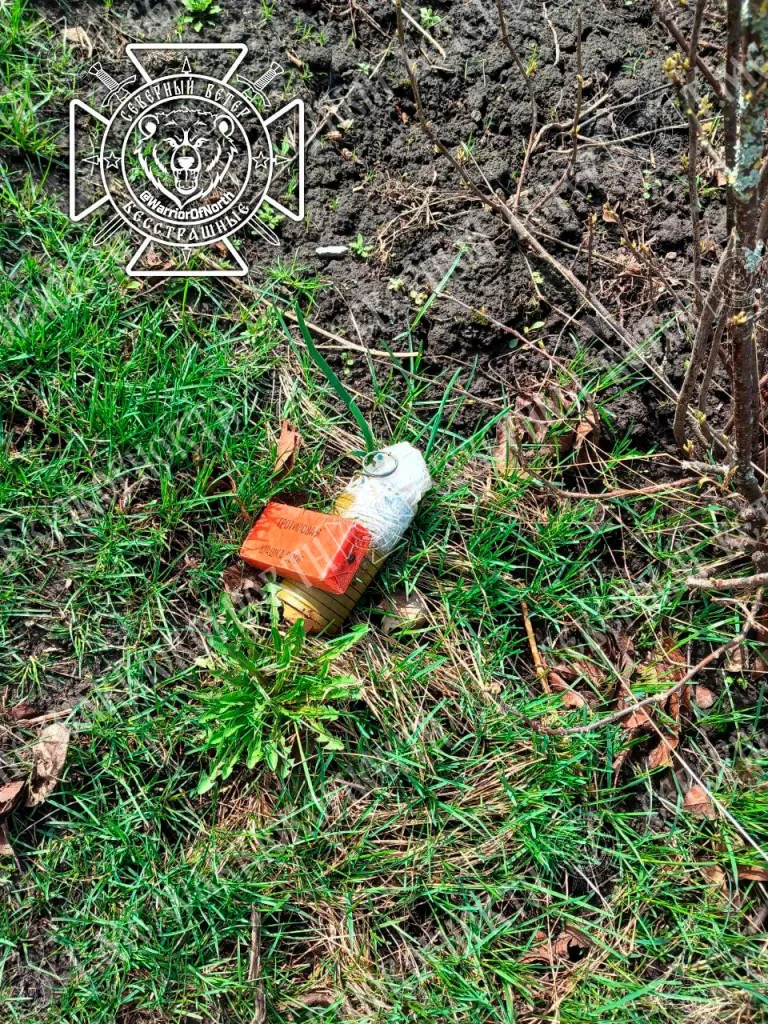 Разминирование Суджанского приграничья продолжается: Северяне обезвреживают посевные поля Курской области