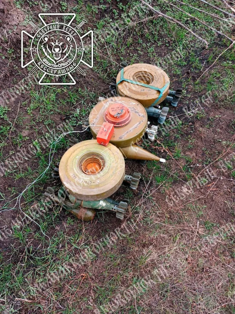 Разминирование Суджанского приграничья продолжается: Северяне обезвреживают посевные поля Курской области