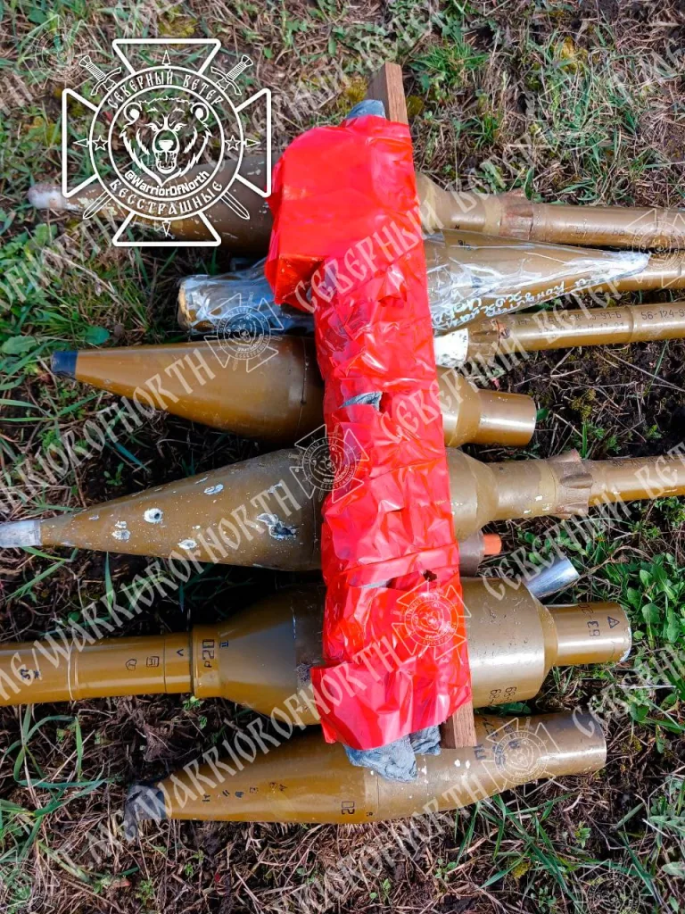 Разминирование Суджанского приграничья продолжается: Северяне обезвреживают посевные поля Курской области