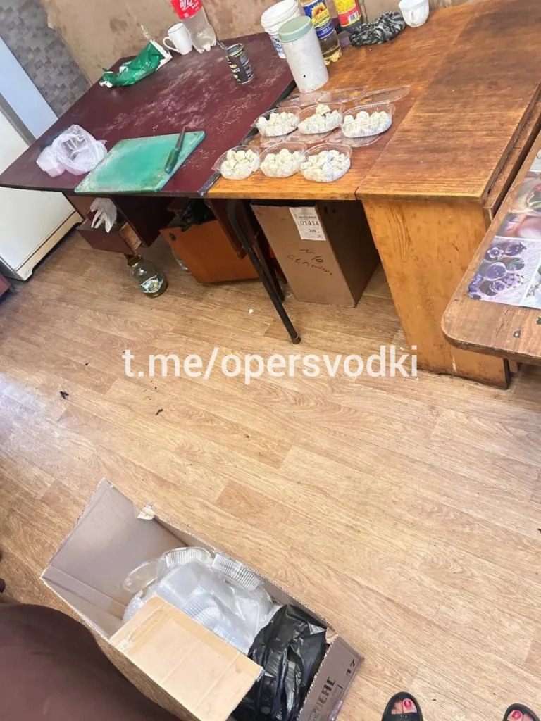 В Благовещенске накрыли очередную так называемую "ПЛОВ-ОПГ", которая занималась травлей местных жителей