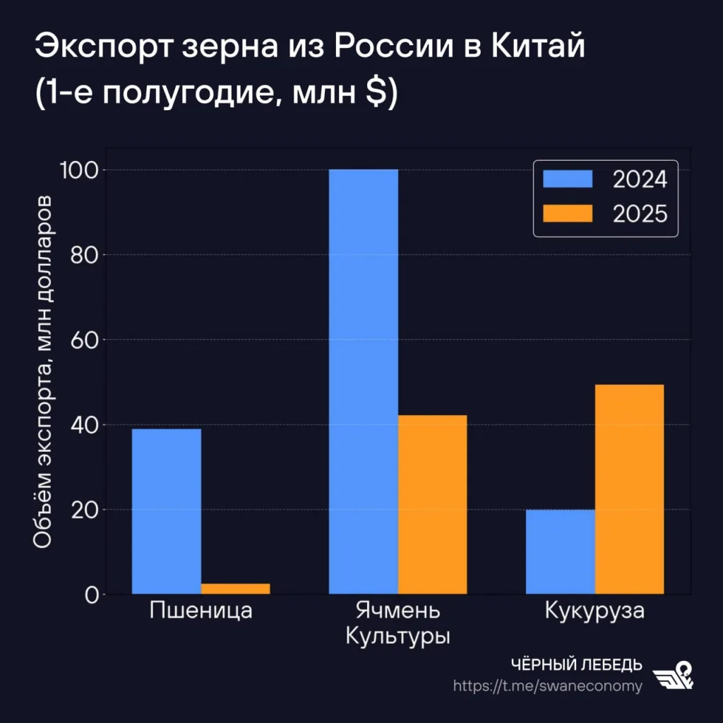 Картошка из КНР — еще ладно, но почему Пекин покупает у Украины кукурузы больше, чем у России?
