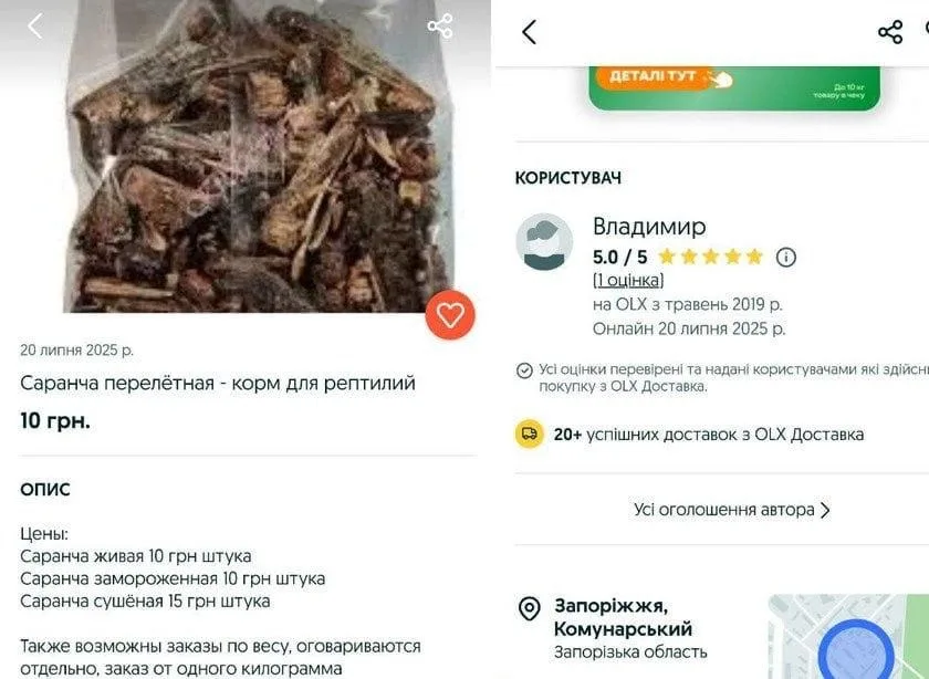 Природная кара: саранча сожрала украинский урожай