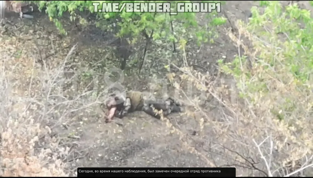 Запорожское направление. Наши десантники из 7 гв дшд уже зацепились за первые улицы Степногорска