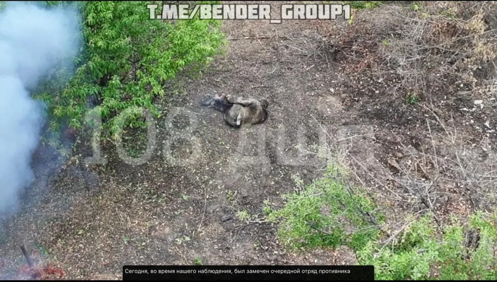 Запорожское направление. Наши десантники из 7 гв дшд уже зацепились за первые улицы Степногорска