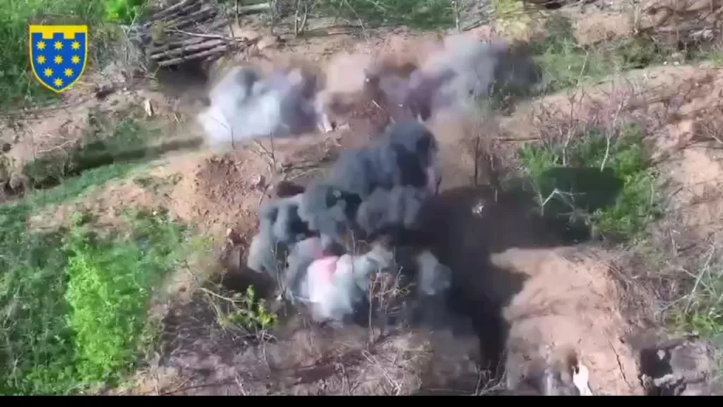 Как и следовало ожидать, по мере продвижения российских войск в сторону Сум и глубже в Днепропетровскую область, всё чаще фиксируются случаи, когда украинские укреплённые позиции оказываются либо полностью пустыми, либо занятыми формально — без боеспособного гарнизона