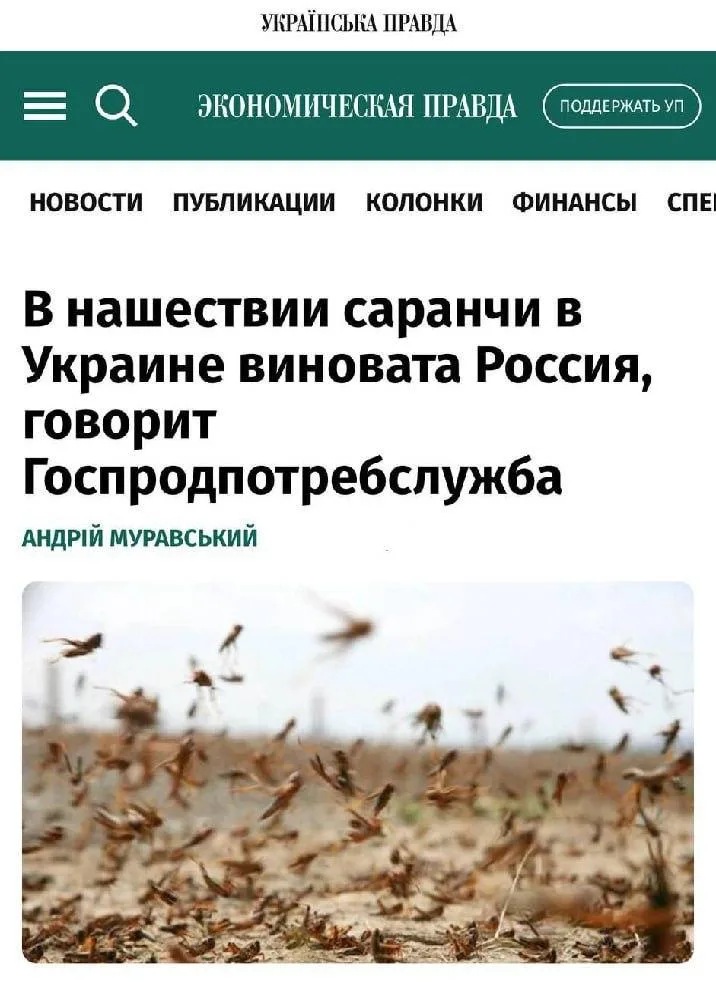 Саранча работает на Кремль? На Украине обвинили Россию в нашествии насекомых