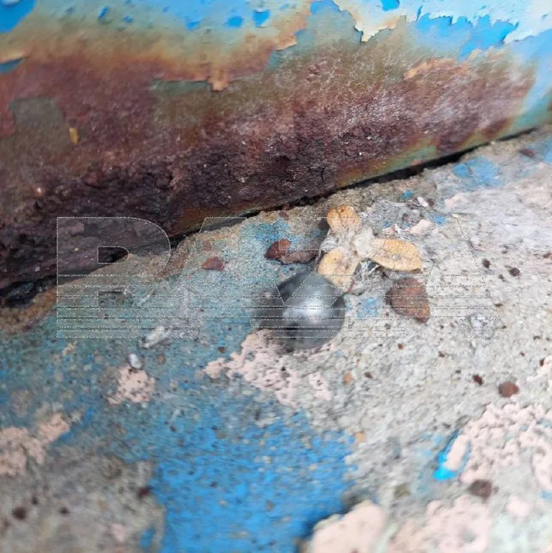 БПЛА, попавший по детскому саду в Воронеже, был начинен поражающими элементами