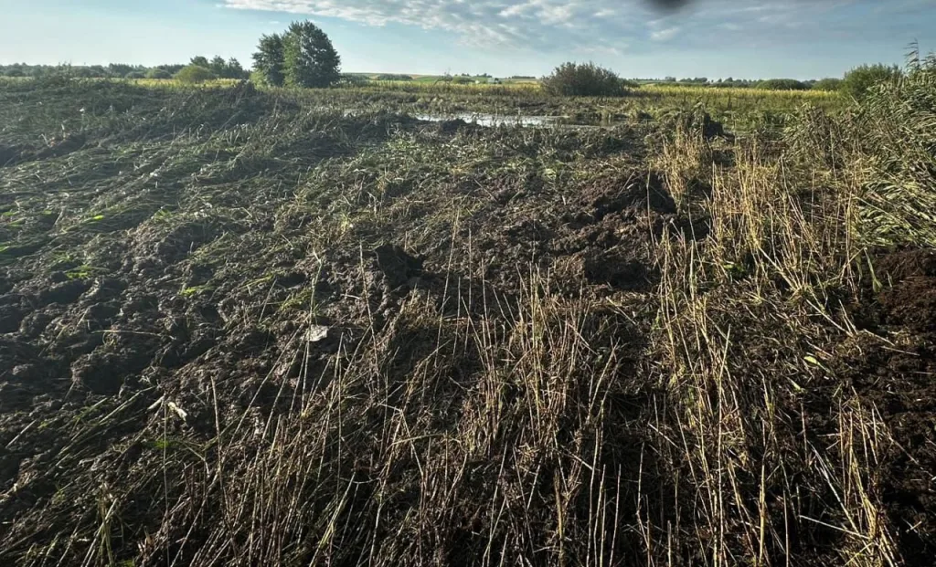 Последним пристанищем французского Mirage 2000 на Украине оказалось болото в Волынской области