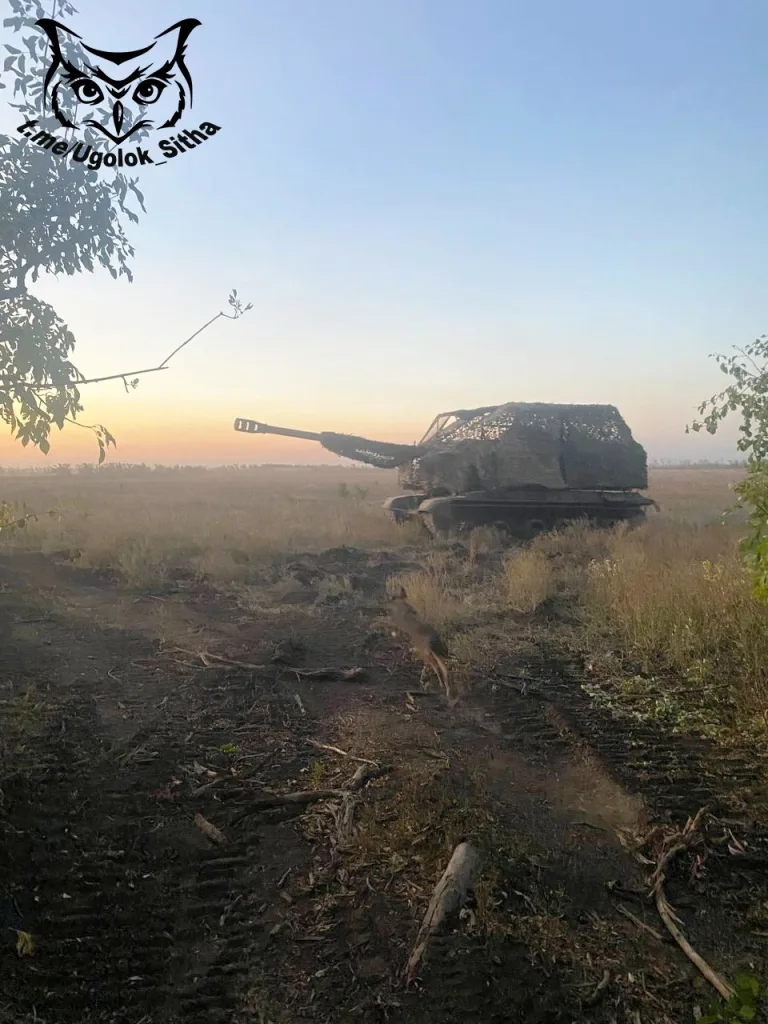 Самоходки 2С19 «Мста-С» в естественной среде обитания