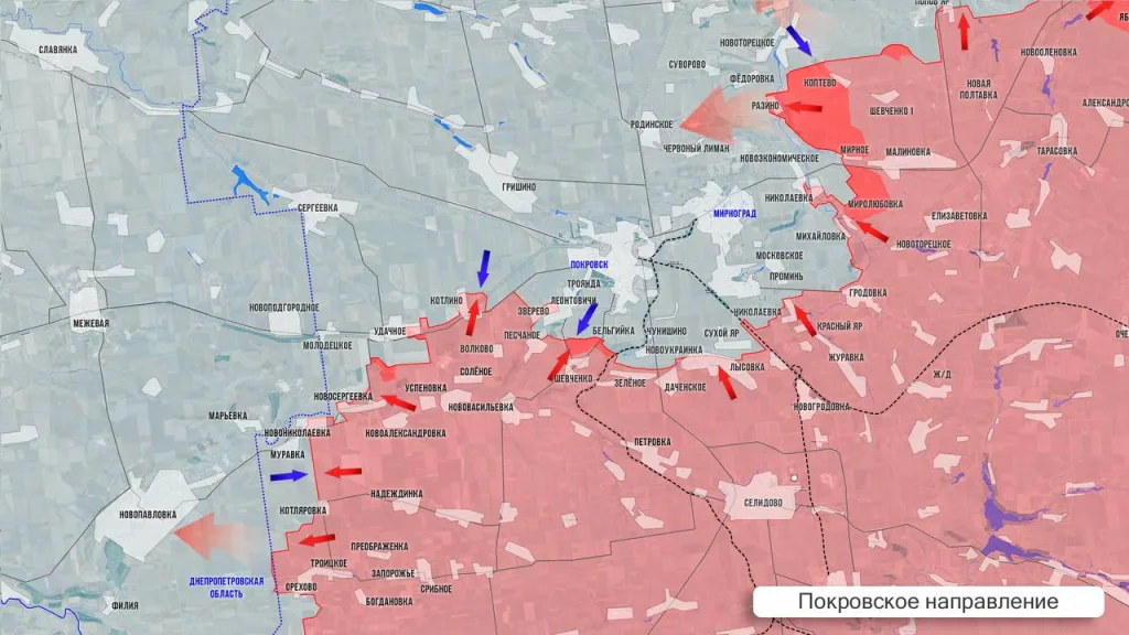Царев: Фронтовая сводка 24 июля 2025 года