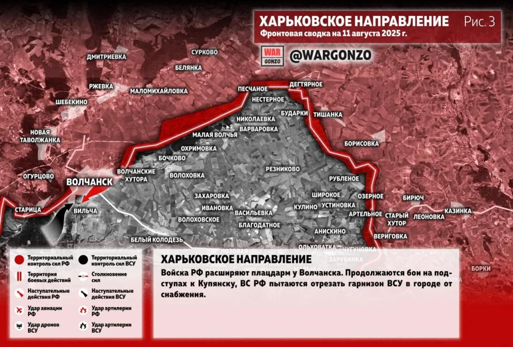 Варгонзо: Фронтовая сводка на утро 11.08.25