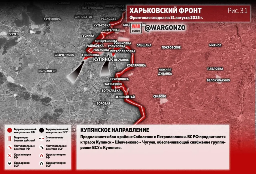 Варгонзо: Фронтовая сводка на утро 31.08.25