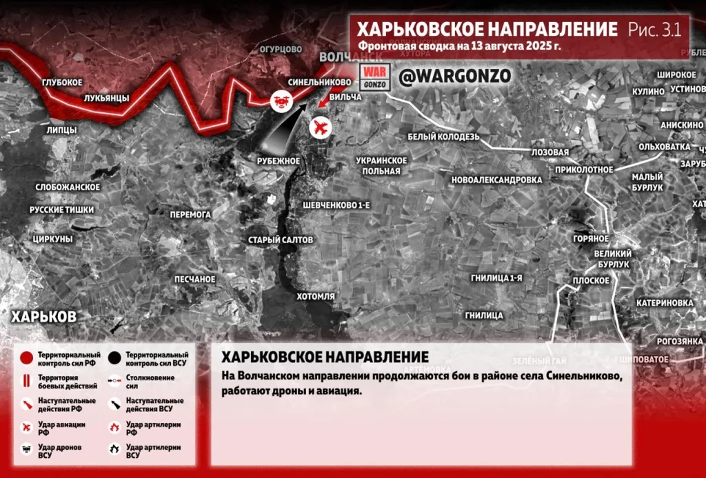 Варгонзо: Фронтовая сводка на утро 13.08.25