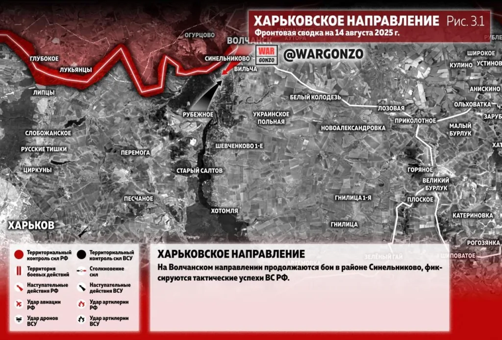 Варгонзо: Фронтовая сводка на утро 14.08.25