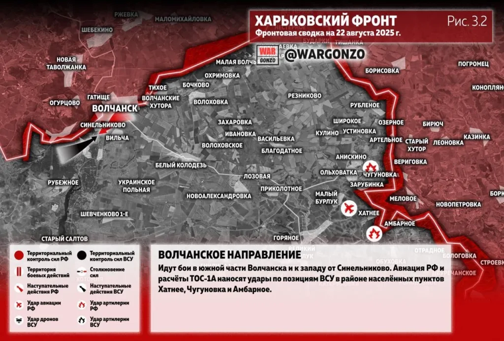 Варгонзо: Фронтовая сводка на утро 22.08.25