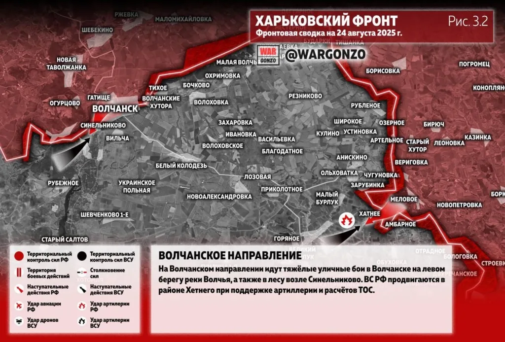 Варгонзо: Фронтовая сводка на утро 24.08.25