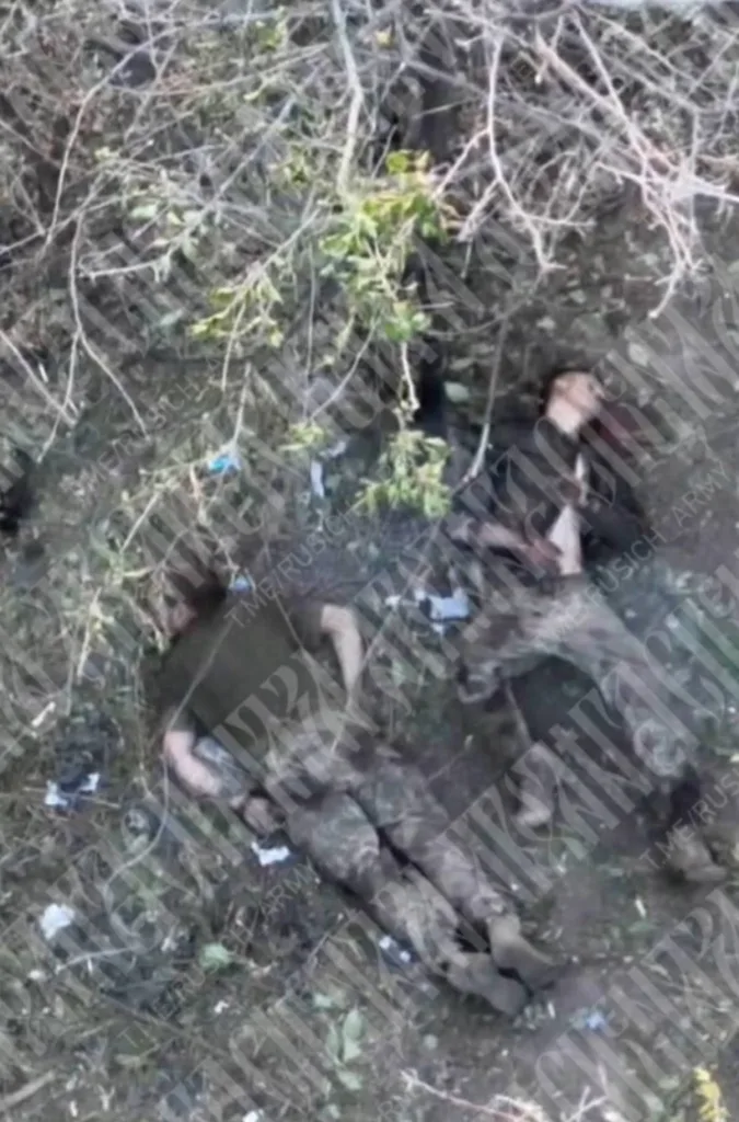 Финны уничтожены у Степногорска