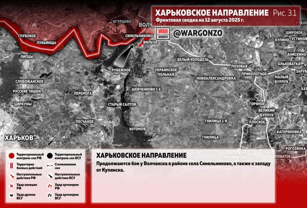 Варгонзо: Фронтовая сводка на утро 12.08.25