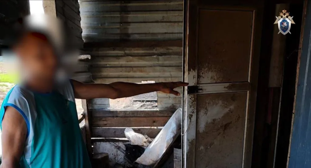 Семья фермеров в Подмосковье заковала рабочего в цепи, угрожала скормить свиньям и требовала подписать контракт с Минобороны, чтобы забирать у него затем выплаты