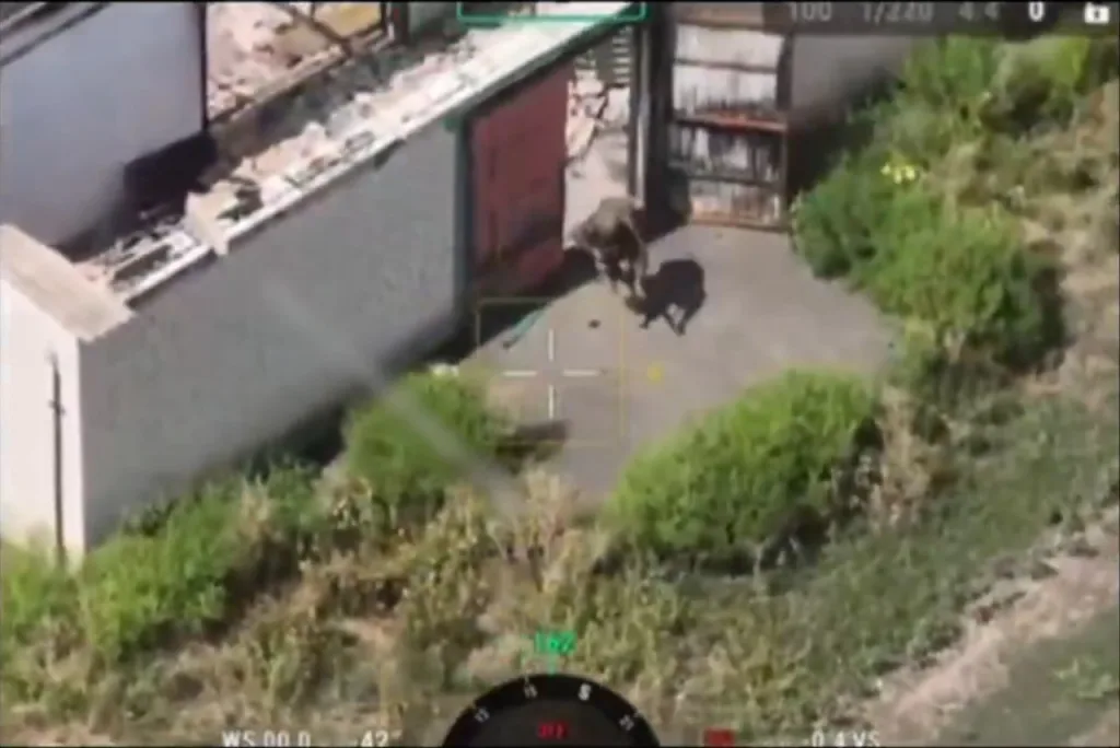 Почти 150 штурмовиков ВС РФ третьи сутки держат оборону в зоне прорыва на покровском направлении