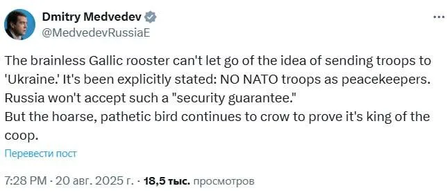 Россия отвергает идею миротворцев из стран НАТО на Украине, заявил замглавы Совбеза РФ Дмитрий Медведев