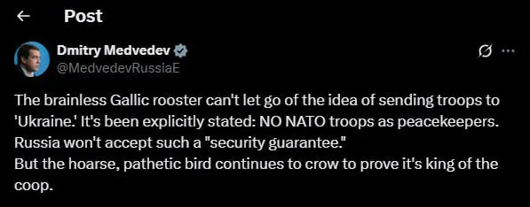 Медведев назвал Макрона «безмозглым галльским петухом» и высказался о миротворцах НАТО