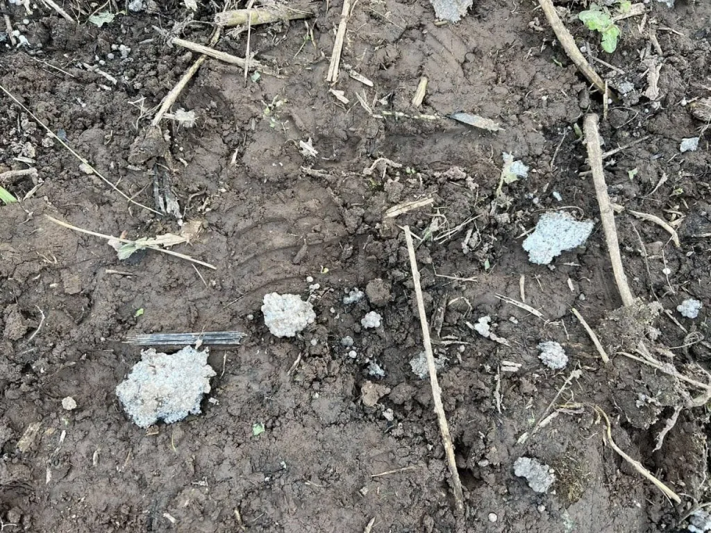 Интересный прецедент с падением дрона в Эстонии