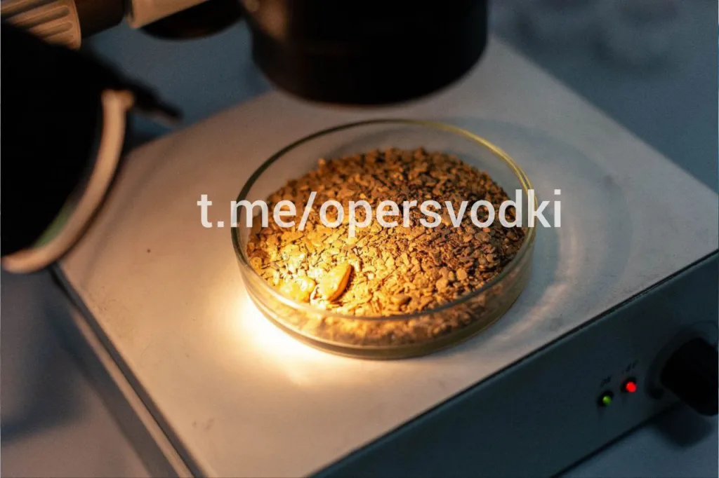 Сотрудники УФСБ России по Иркутской области изъяли крупнейшую в истории региона партию похищенного природного золота