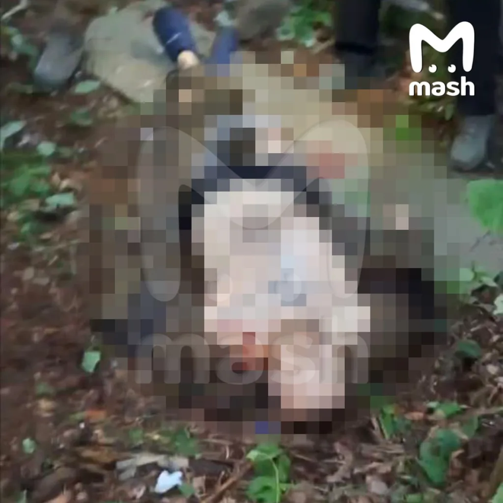 Украинскую ДРГ обнаружили и ликвидировали в Брянской области, в 40 км от госграницы