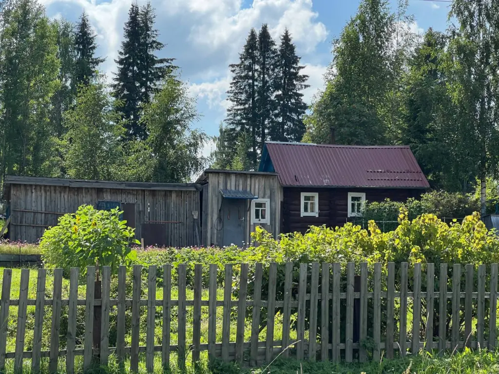 Сентябрьский секрет дачников со стажем: одно растение станет мощной заменой тонны навоза и делает землю живой на три года вперёд