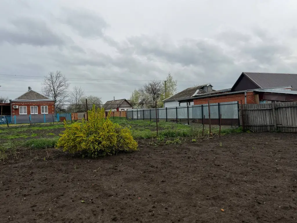 Не смейте ее сжигать: томатная ботва — не мусор, а настоящее золото: 3 рабочих способа для использования на участке