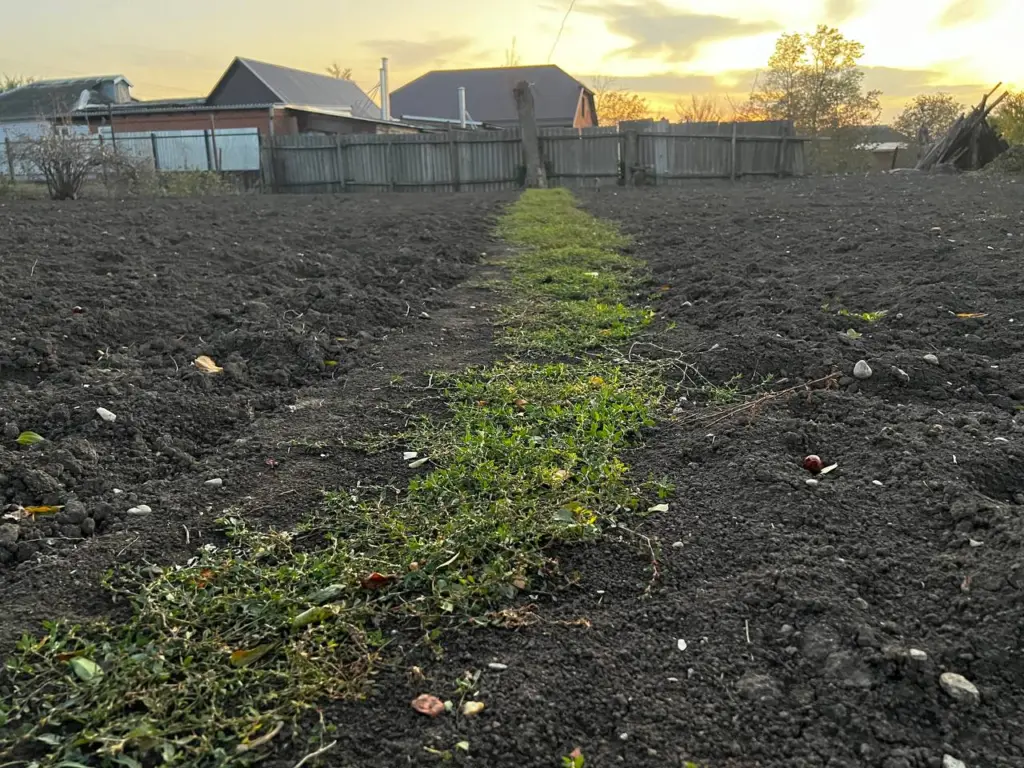 Подготавливаем дачный участок к новому сезону: топ-5 важных советов для огородников — сохраните себе, чтобы не потерять