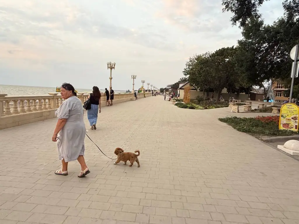 Достаточно одного взгляда: 10 признаков того, что перед вами точно ведьма