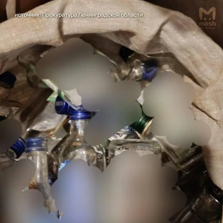 19 погибших, 1 в тяжелом состоянии: в Ленобласти случилось массовое отравление самогоном