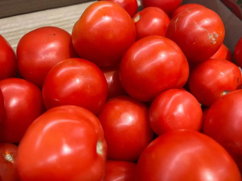 Не кладу томаты в холодильник — свекровь рассказала, как 2-3 месяца сохранить их свежими