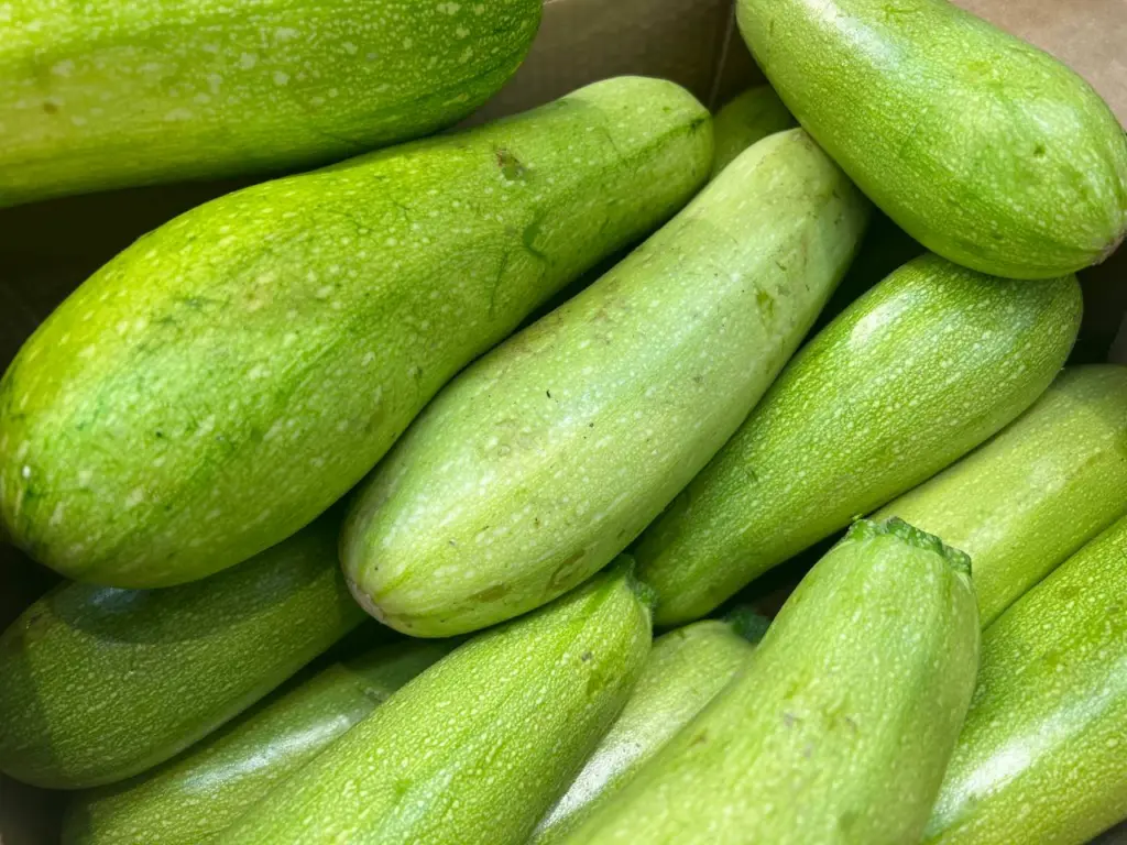 Подруга из Армении научили меня очень вкусно готовить кабачки — сейчас делаю 2–3 раза в неделю и не надоедает