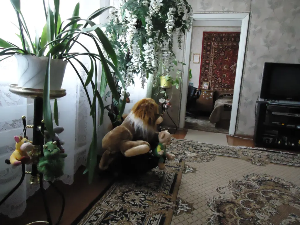 6 вещей в доме, из-за которых мы стареем раньше времени — от этого нужно сразу же избавиться