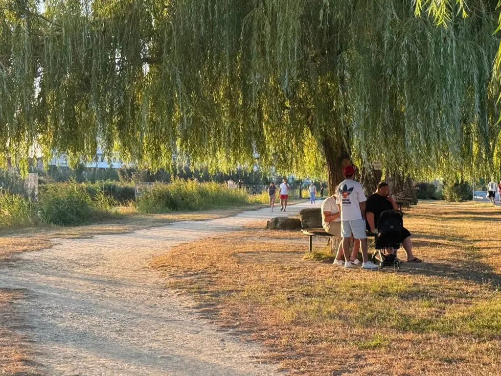 Произнесите эти 3 слова перед выходом из дома: агрессивные люди начнут вас держаться на расстоянии