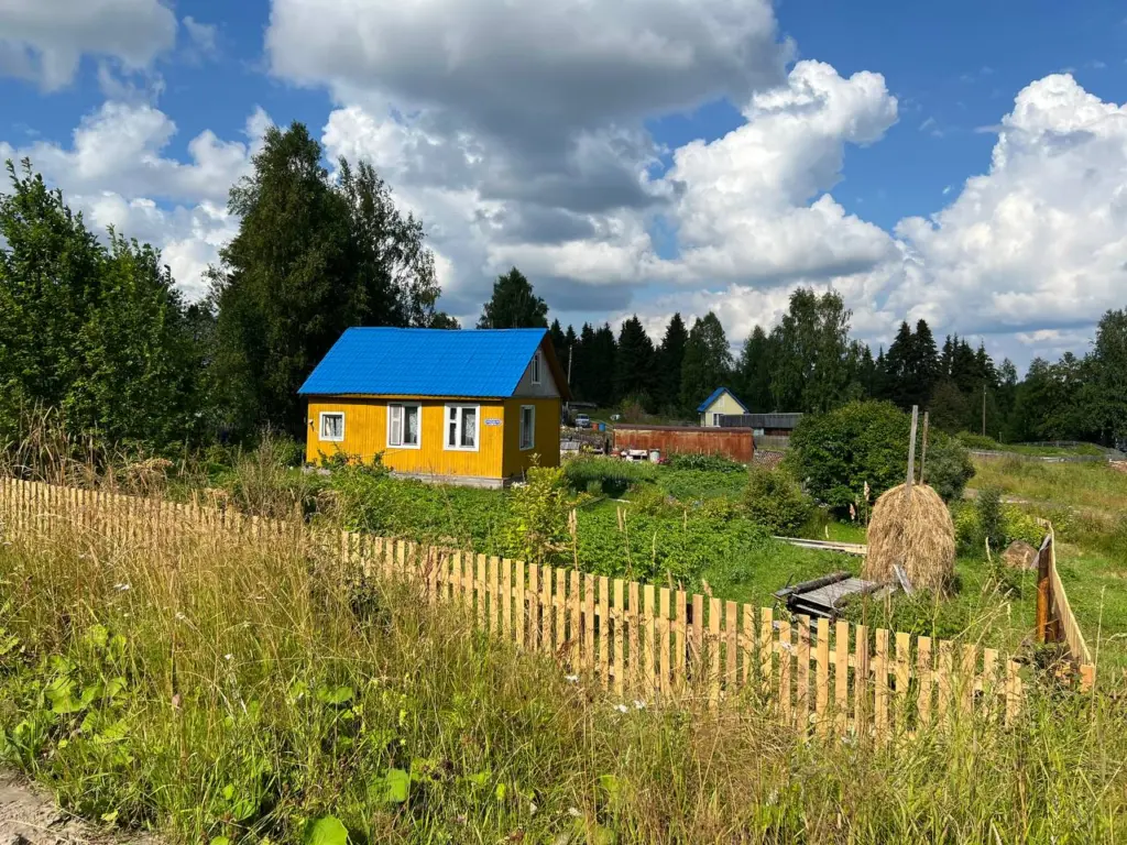 Разбрасываю 1 пачку копеечной крупы по грядкам в начале осени — земля как чернозём. Дорогущий навоз больше не понадобится