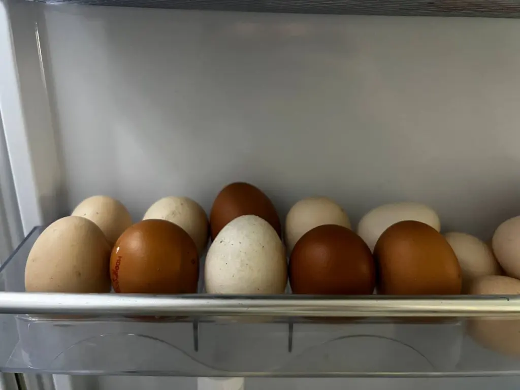 Почему яйца после варки нельзя сразу класть в холодную воду. Запомните раз и навсегда