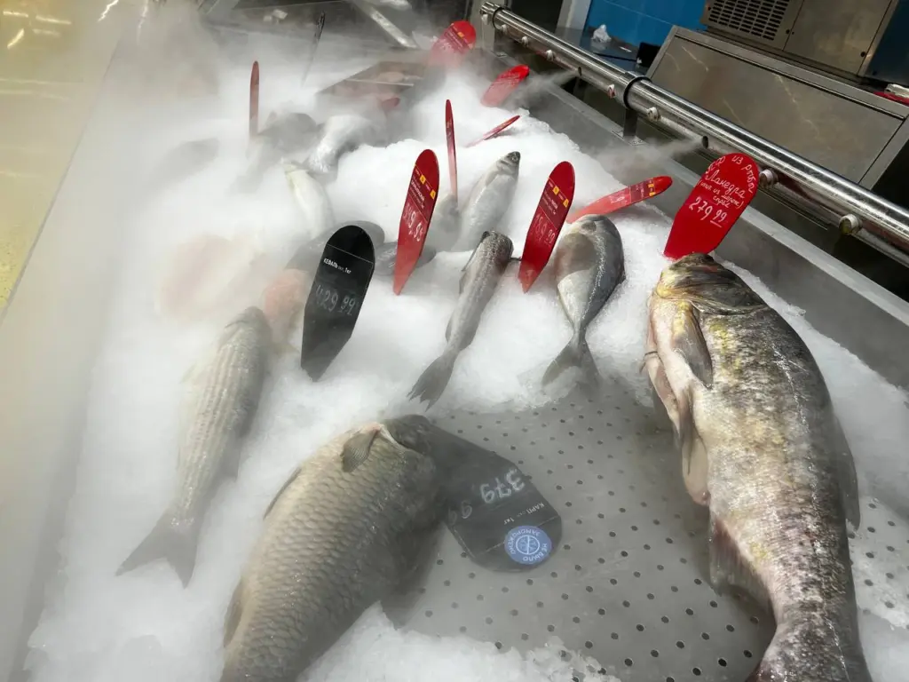 Учёные раскрыли название самой полезной рыбы: ешьте 2 раза в неделю – богатый источник фосфора и селена