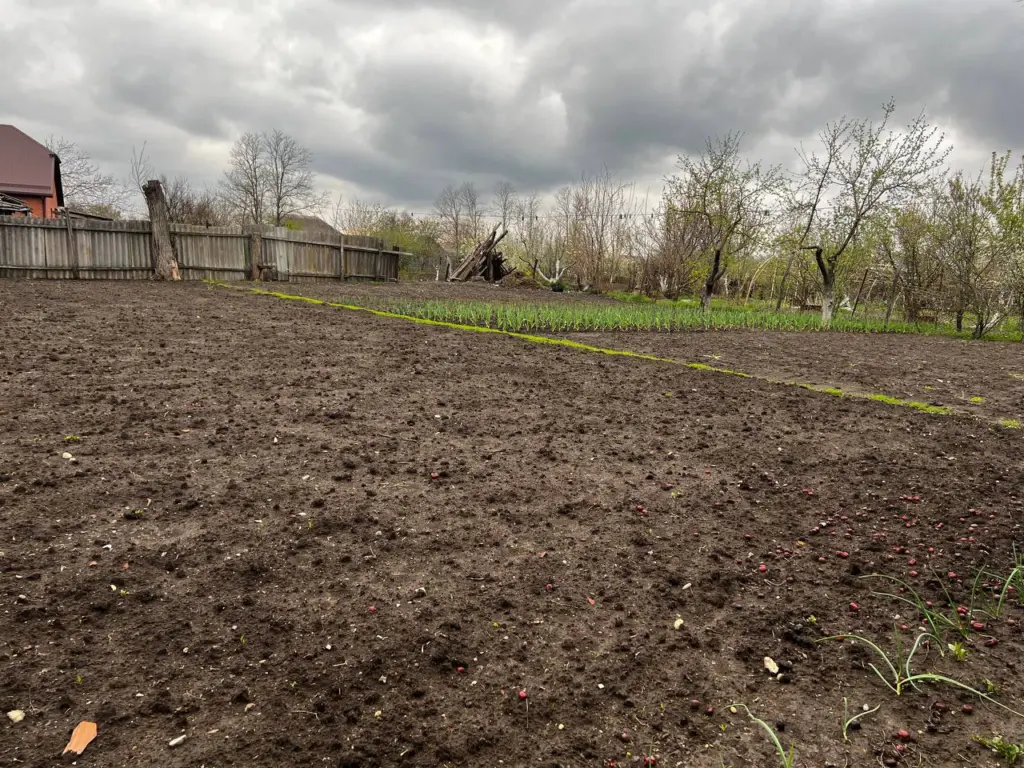 Обязательный осенний ритуал для огородников: что важно сделать с травой и золой, чтобы на будущий год собрать двойной урожай